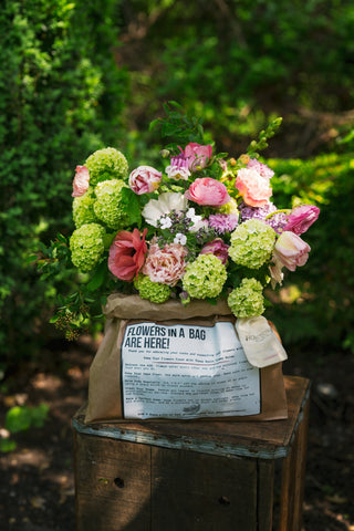 FLOWERS IN A BAG SUBSCRIPTION