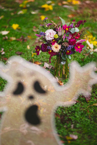 The Fall Flowers in a Bag Subscription