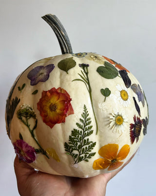 Botanical Pumpkins Workshop | October 15th