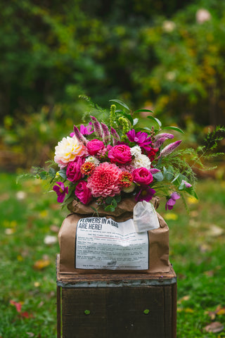 The Fall Flowers in a Bag Subscription