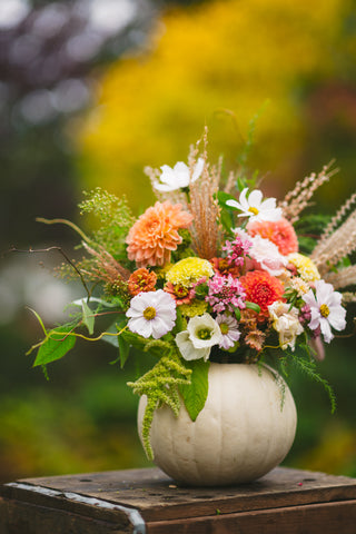 The Fall Flowers in a Bag Subscription