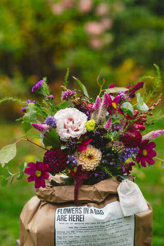 The Fall Flowers in a Bag Subscription