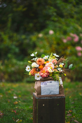 The Fall Flowers in a Bag Subscription