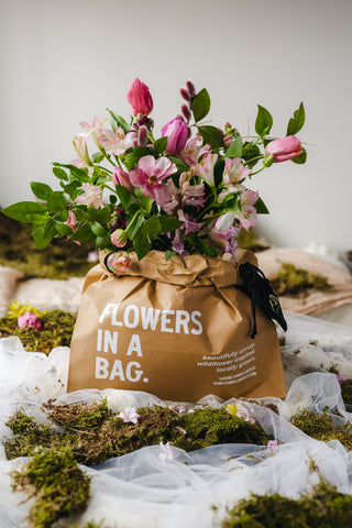 The Mini Flowers in a Bag - Mother's Day (Pick-Up Only)