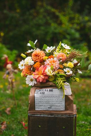 The Fall Flowers in a Bag Subscription