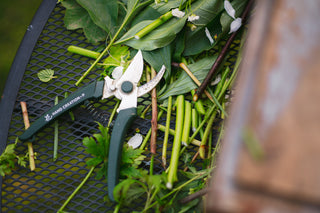 The DIY Summer Flowers Subscription