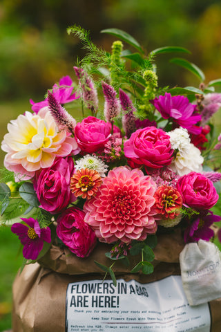The Fall Flowers in a Bag Subscription