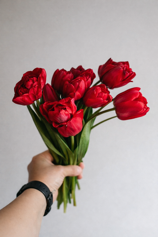 Tulip Lovers Spotlight; An Ikebana-Inspired Tulip Centerpiece Workshop; March 22