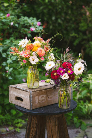 The Fall Flowers in a Bag Subscription