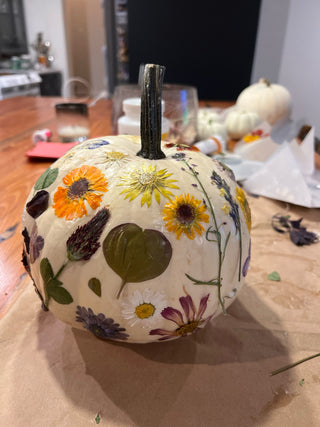 Botanical Pumpkins Workshop | October 15th