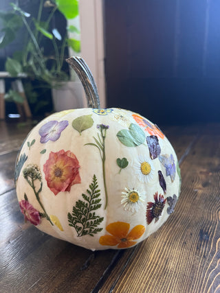 Botanical Pumpkins Workshop | October 15th