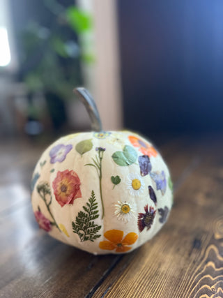 Botanical Pumpkins Workshop | October 15th
