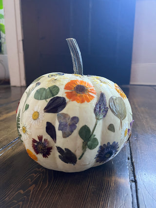 Botanical Pumpkins Workshop | October 15th