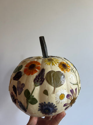 Botanical Pumpkins Workshop | October 15th