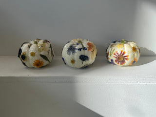Botanical Pumpkins Workshop | October 15th