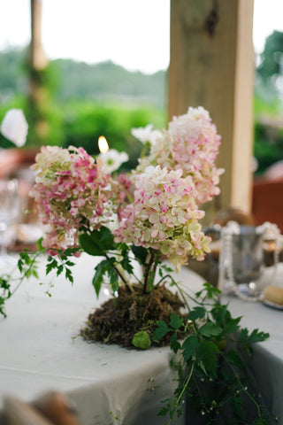 Hydrangea Lovers Centerpiece Workshop | July 12th