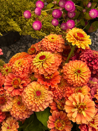 September Flowers in a Bag Workshop: September 20th