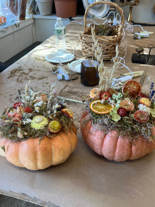 Dried Floral Pumpkins Workshop: October 13th
