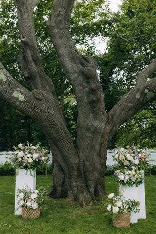 The Ceremony Meadow