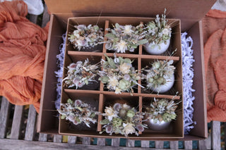 Pressed & Dried Floral Ornament Workshop l December 12th, Huntington