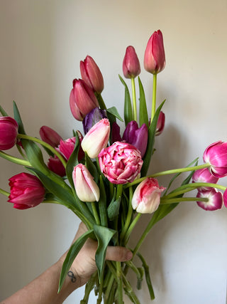 Tulip Lovers Spotlight; An Ikebana-Inspired Tulip Centerpiece Workshop; March 22