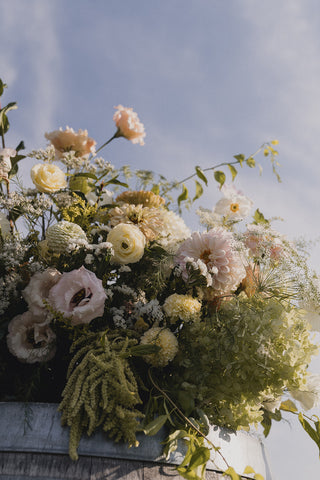 The Ceremony Meadow