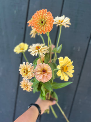 September Flowers in a Bag Workshop: September 20th