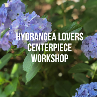 Hydrangea Lovers Centerpiece Workshop | July 12th