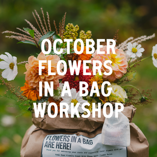 October Flowers in a Bag Workshop: October 18th