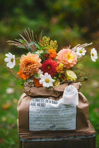 October Flowers in a Bag Workshop: October 18th