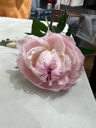Peace Out Peonies! Workshop |  July 9th, Huntington