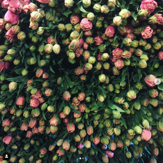 The DIY Summer Flowers Subscription