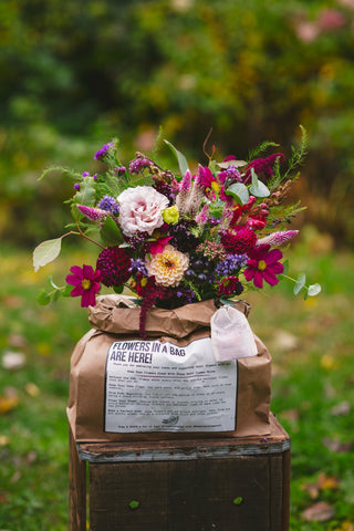 Six Months of Bi-Weekly Flowers in a Bag Deliveries