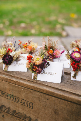 The Napkin Rings