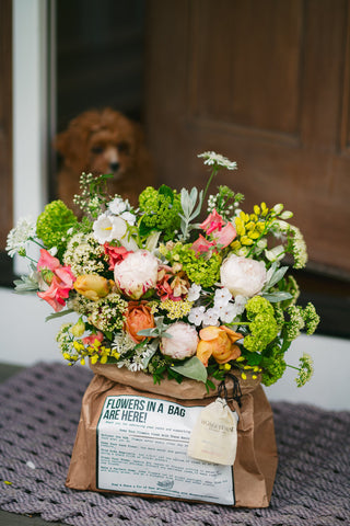 Six Months of Bi-Weekly Flowers in a Bag Deliveries