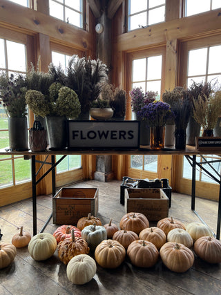 Dried Floral Pumpkins Workshop  | October 17th