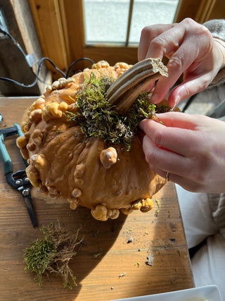 Dried Floral Pumpkins Workshop  | October 17th