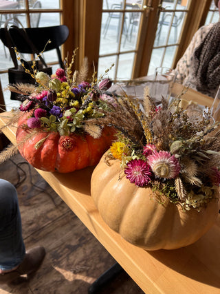 Dried Floral Pumpkins Workshop  | October 17th