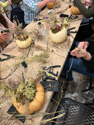 Dried Floral Pumpkins Workshop  | October 17th