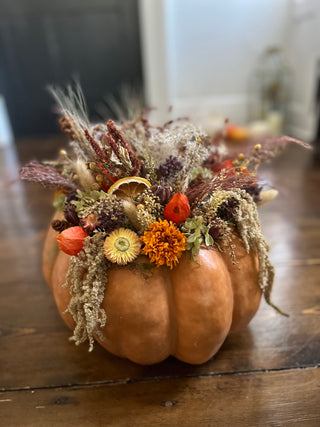 Dried Floral Pumpkins Workshop  | October 17th