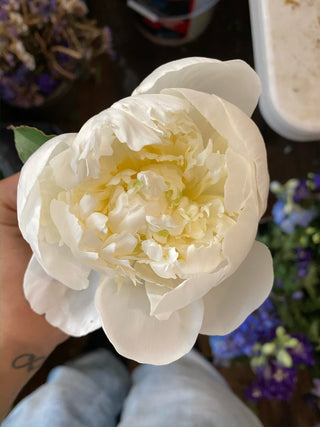 Brunch & Blooms: The Peony Lovers Workshop | June 11th