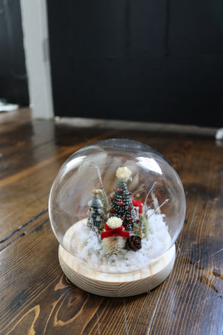 The Snow Globe