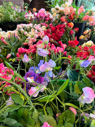 The DIY Summer Flowers Subscription