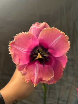 The DIY Summer Flowers Subscription