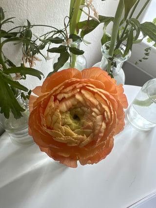 The DIY Summer Flowers Subscription