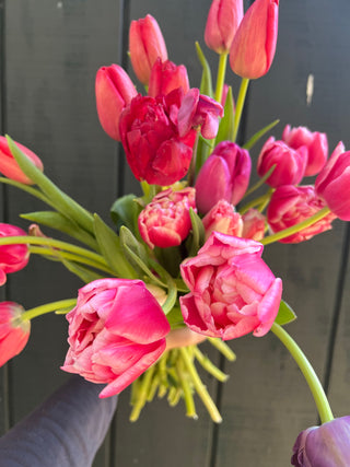 The DIY Summer Flowers Subscription