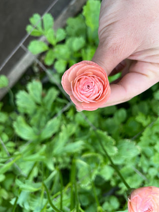 The DIY Flower Subscription