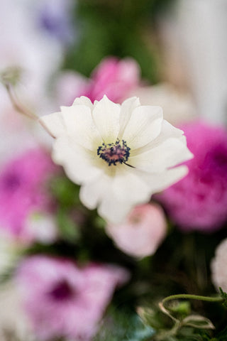 The DIY Summer Flowers Subscription