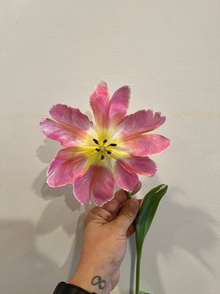 The DIY Summer Flowers Subscription