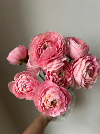 The DIY Summer Flowers Subscription
